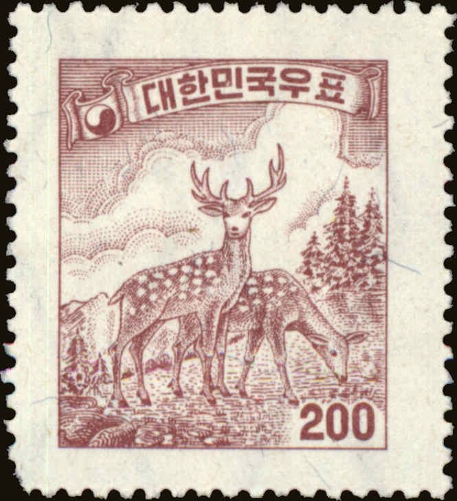 Sika Deer (Cervus nippon)