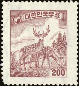 Stamp, Sika Deer (Cervus nippon), Korea, South,  , Mammals, Animals (Fauna), Deer