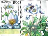 Stamp Endangered plants of Belarus – Snowdrop anemone+1 coupon