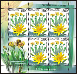Sheetlet Endangered plants of Belarus – Scorzonera (5 stamps + 1 coupon)