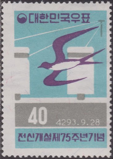 Swallow and Telegraph Pole