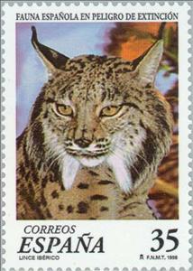 Stamp, Iberian Lynx (Lynx pardina), Spain,  , Mammals, Animals (Fauna)