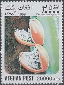 Stamp, Cereus hexagonus, Afghanistan,  , Cacti