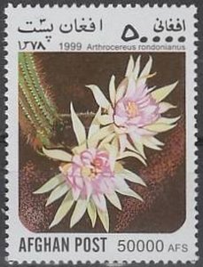 Arthrocereus rondonianus