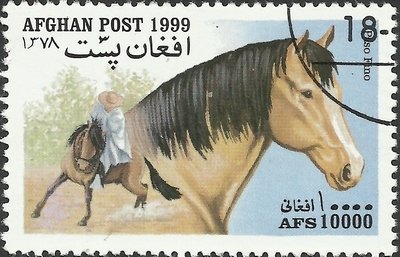 Stamp, Paso Fino (Equus ferus caballus), Afghanistan,  , Horses