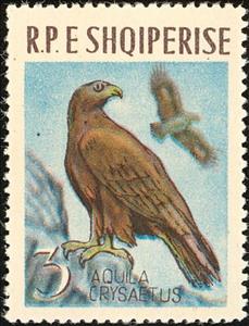 Stamp, Golden Eagle (Aquila chrysaetos), Albania,  , Birds