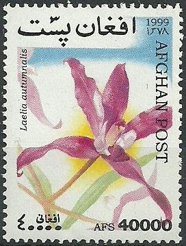 Stamp, Laelia autumnalis, Afghanistan,  , Orchids