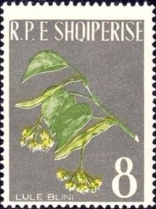 Stamp, Linden, Albania,  , Trees, Flowers, Plants (Flora)