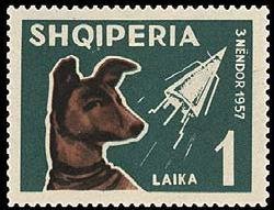 Space dog Laika, Sputnik 2