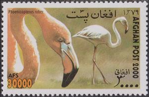 Stamp, Caribbean Flamingo (Phoenicopterus ruber), Afghanistan,  , Birds, Flamingos