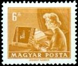 Television writer