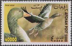 Stamp, Greylag Goose (Anser anser), Afghanistan,  , Birds, Animals (Fauna), Geese