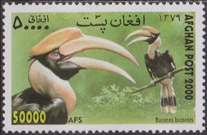 Stamp, Great Hornbill (Buceros bicornis), Afghanistan,  , Birds