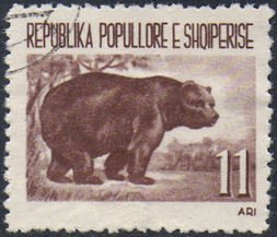 Stamp, Brown Bear (Ursus arctos), Albania,  , Bears