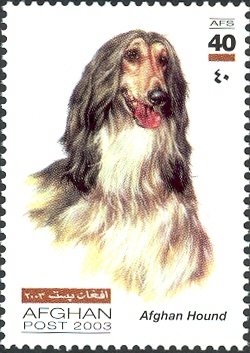 Stamp, Afghan Hound (Canis lupus familiaris), Afghanistan,  , Dogs