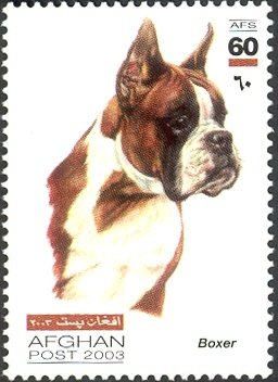 Stamp, German Boxer (Canis lupus familiaris), Afghanistan,  , Mammals, Dogs, Animals (Fauna)