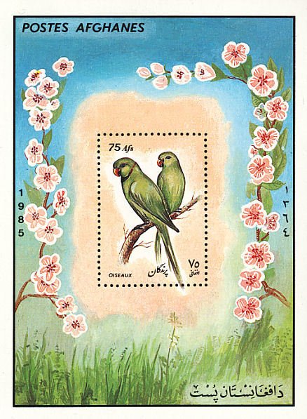 Rose-ringed Parakeet (Psittacula krameri)