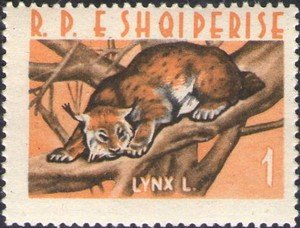 Stamp, Lynx (Lynx lynx), Albania,  , Lynx, Animals (Fauna)