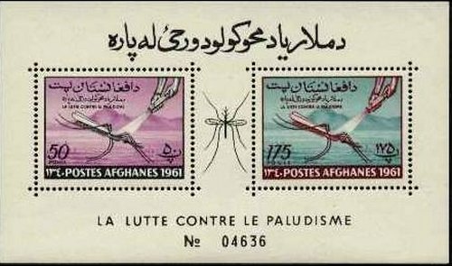 Anopheles Mosquito