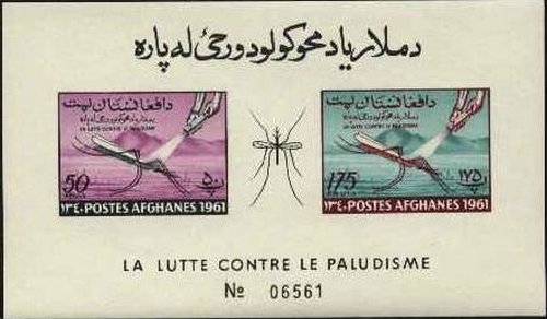 Anopheles Mosquito