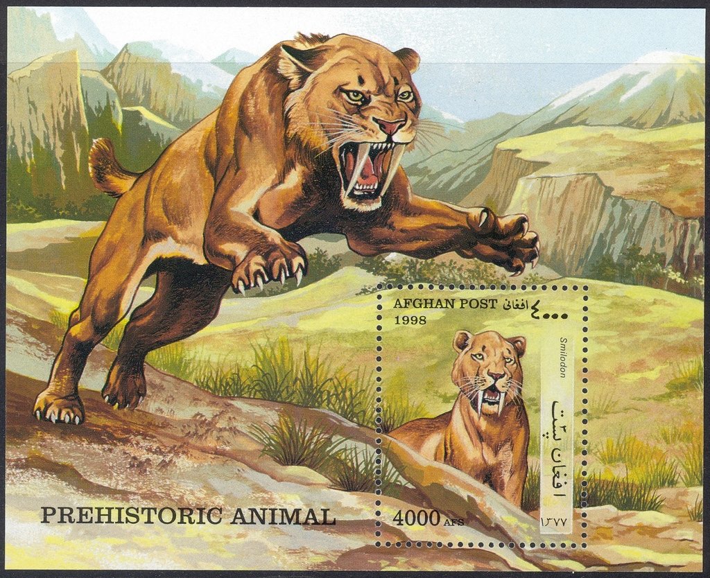 Saber-Tooth-Tiger (Smilodon sp.)