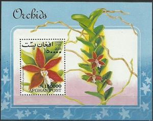 Souvenir Sheet, Trichoglottis philippinensis, Afghanistan,  , Flowers, Orchids, Plants (Flora)