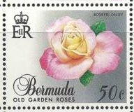 Stamp, Rosette delizy, Bermuda,  , Flowers, Roses