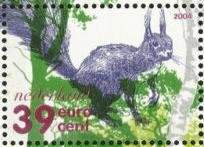Red Squirrel (Sciurus vulgaris)