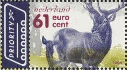 Red Deer (Cervus elaphus)