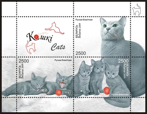 Souvenir sheet "Russian Blue cat"