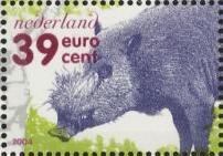 Wild Boar (Sus scrofa)