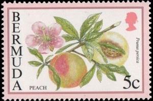 Stamp, Peach, Bermuda,  , Fruits
