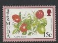 Stamp, Natal plum, Bermuda,  , Fruits