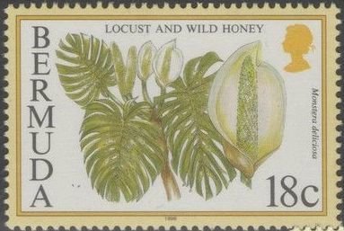 Locust & wild honey