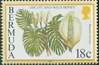 Locust & wild honey