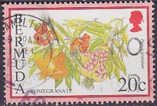 Stamp, Pomegranate, Bermuda,  , Fruits