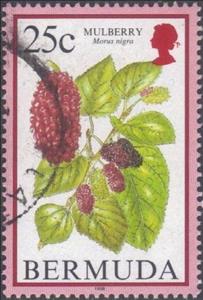 Stamp, Mulberry, Bermuda,  , Fruits