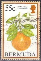 Stamp, Orange, Bermuda,  , Fruits