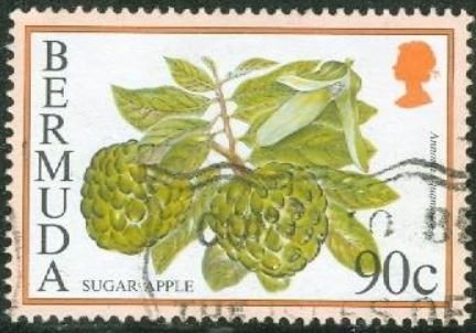 Sugar apple