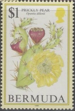 Stamp, Prickly pear, Bermuda,  , Fruits
