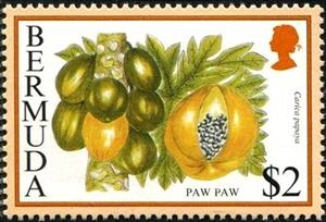 Stamp, Paw paw, Bermuda,  , Fruits