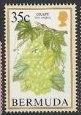 Stamp, Grape, Bermuda,  , Fruits
