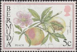 Stamp, Peach, Bermuda,  , Fruits