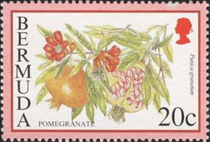Stamp, Pomegranate, Bermuda,  , Fruits