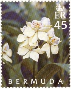 Stamp, Prosthechea fragrans, Bermuda,  , Flowers, Orchids, Plants (Flora)