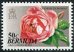 Stamp, Duchesse de Brabant Rose, Bee, Bermuda,  , Flowers, Roses, Bees
