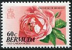 Stamp, Duchesse de Brabant Rose, Bee, Bermuda,  , Flowers, Roses, Bees