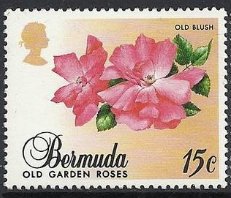 Stamp, Old blush, Bermuda,  , Flowers, Roses