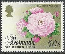 Stamp, Champney's pink cluster, Bermuda,  , Flowers, Roses