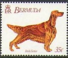 Stamp, Irish settler, Bermuda,  , Dogs, Animals (Fauna)